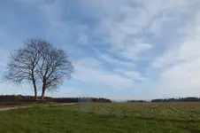 DSCF9064.webp