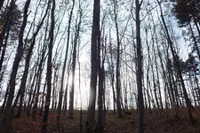DSCF9085.webp