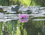 121.webp
