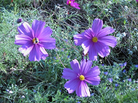 IMG_3634.webp