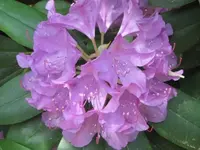 Bild 847.webp