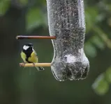 Vogelfutterspender neu+.webp
