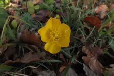 DSCF9056.webp