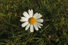 DSCF9063.webp