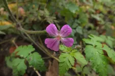 DSCF9087.webp