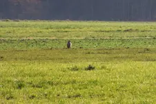 DSCF9090 (2).webp