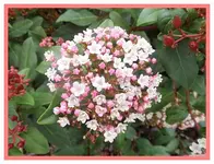 004.webp