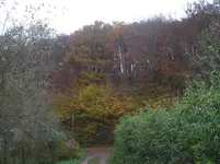 001.webp