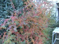 BILD3621.webp