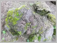 092.webp
