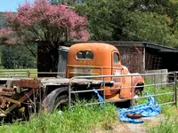 IMG_0402v.webp