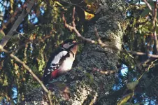 DSCF9098 (2).webp