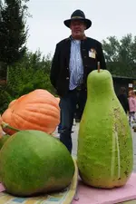 10487205_948391655189409_7884990252299492650_n.webp