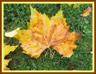 015.webp