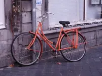 P1160587.webp