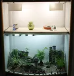 lichtkammer_2.webp