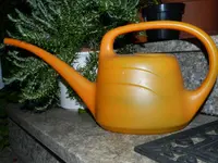 Orange_0002.webp