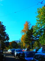 pop_autumn_p.webp