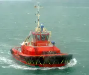 Wellington 042v.webp