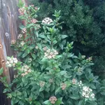 IMG_0840.webp
