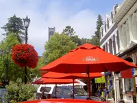 Nelsonv.webp