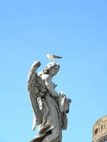 DSCN7853.webp