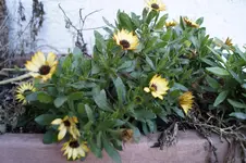 _DSC7442.webp