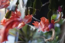_DSC7445.webp