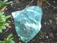 BILD3598.webp