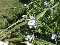Querbeet76.webp