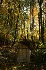 Herbst_1_DSC04011.webp