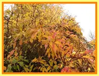 023.webp
