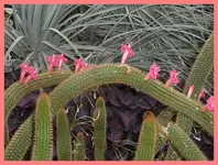 082.webp