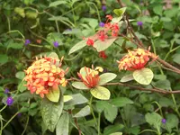 148.webp