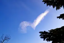 Weiß_0003.webp