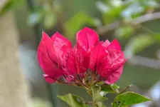 Rot_00001.webp