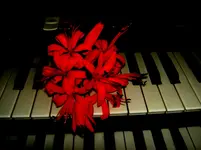 Musik....v.webp
