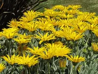 IMG_1283v.webp