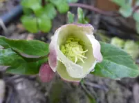P1230751.webp