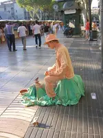 DSCN2479.webp