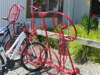 IMG_1078v.webp
