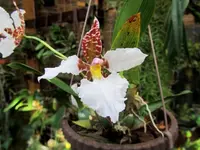 IMG_3915 - Kopie.webp
