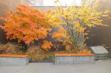 DSCF9155.webp