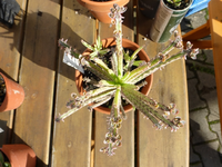 P1230570.webp