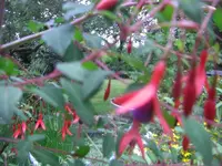 CIMG6652.webp