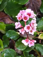 K800_DSCF5680.webp