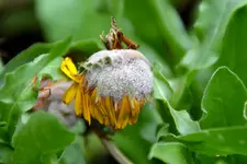 Weiß_0008.webp