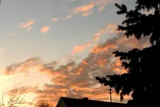 DSCN2568.webp