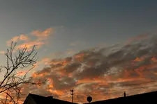 DSCN2572.webp