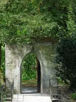image.webp